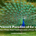The Peacock Paradise of Ca’ d’Zan